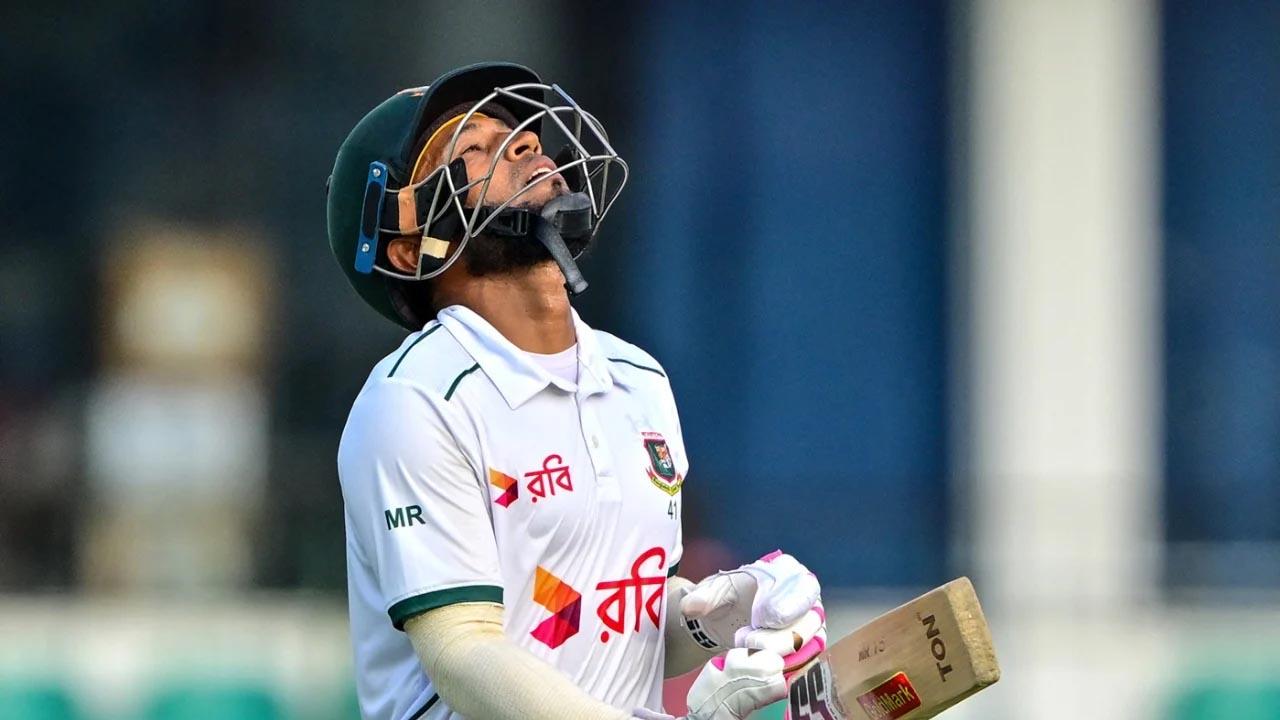 সংযুক্ত ছবি